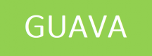Guava Training in Thailand