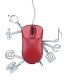 Web Services Training in Thailand