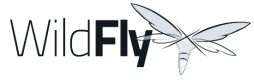Category for Wildfly